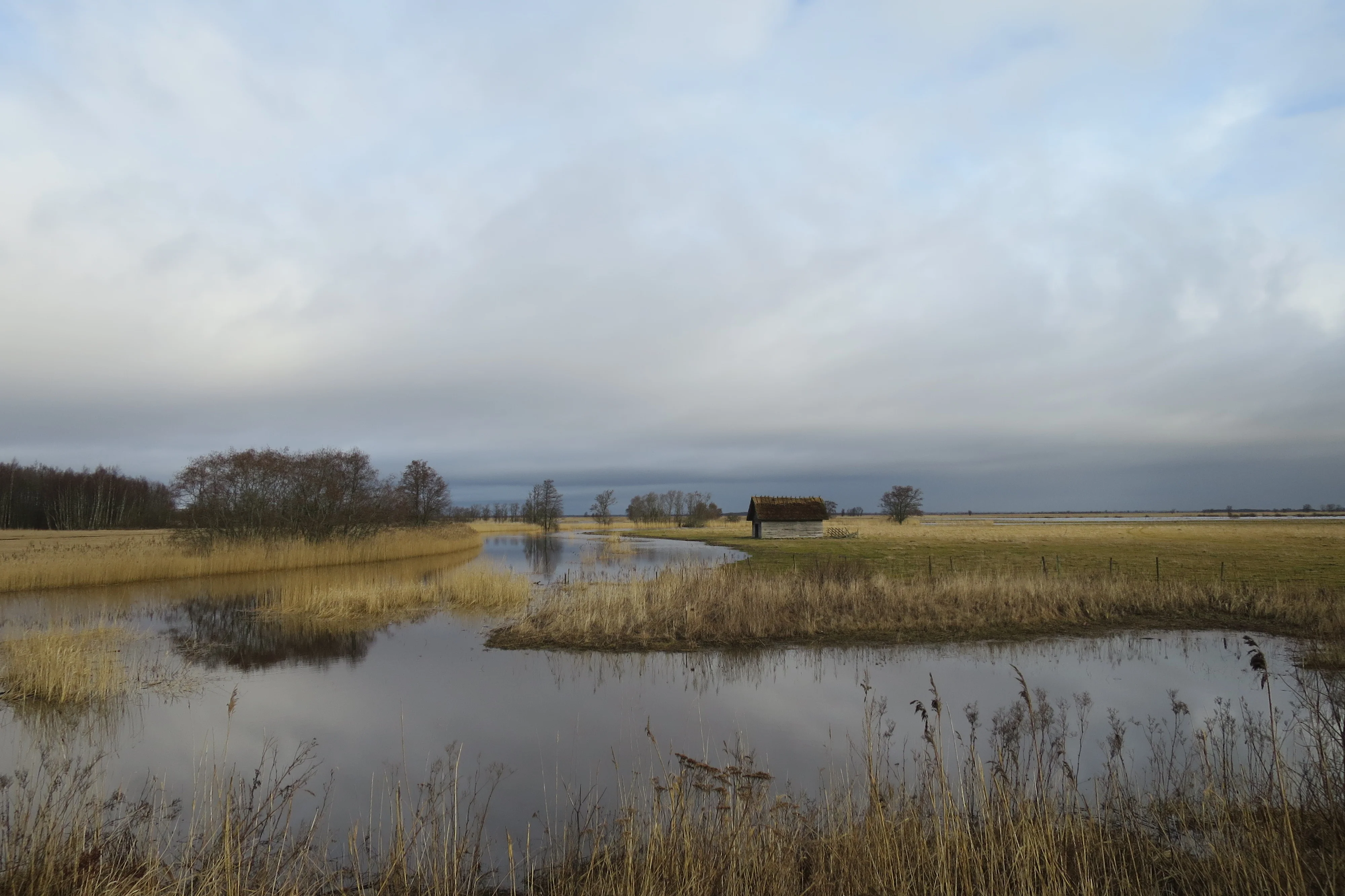 Matsalu Tour image