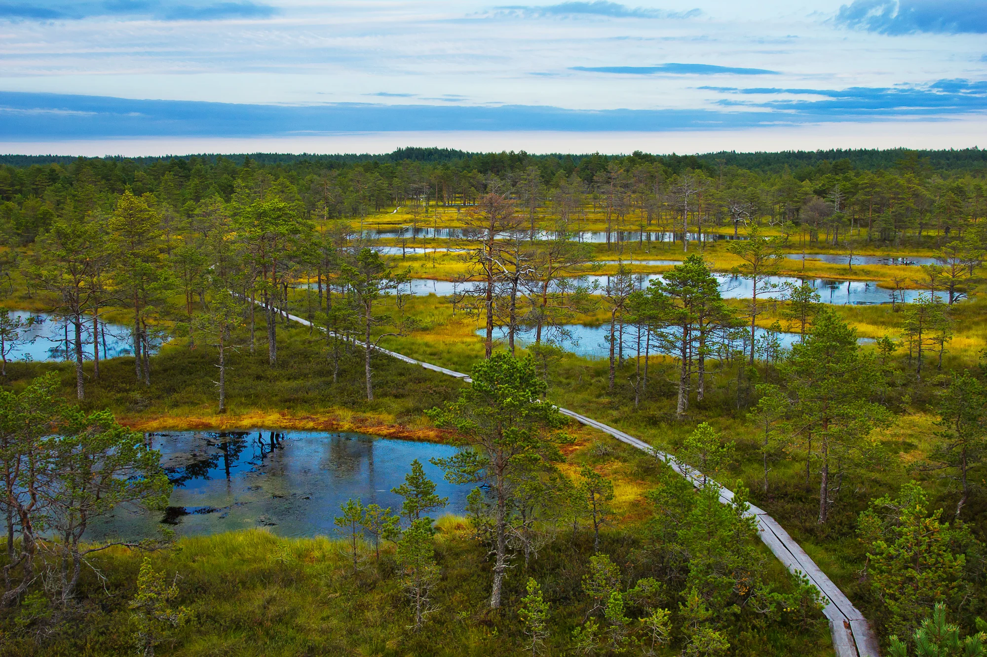 Viru Bog / Lahemaa National Park Tour image