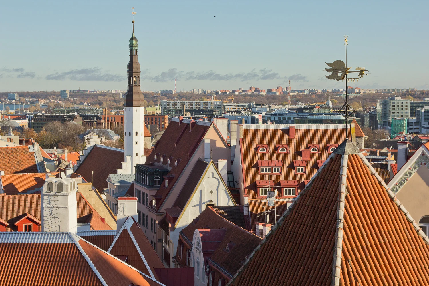 View from Toompea / Best of Tallinn Tour Tour image