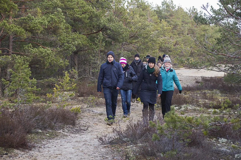 Hiking in the forest Tour image