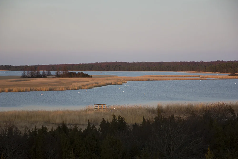 Käina Bay & bird sanctuary in Hiiumaa Tour image