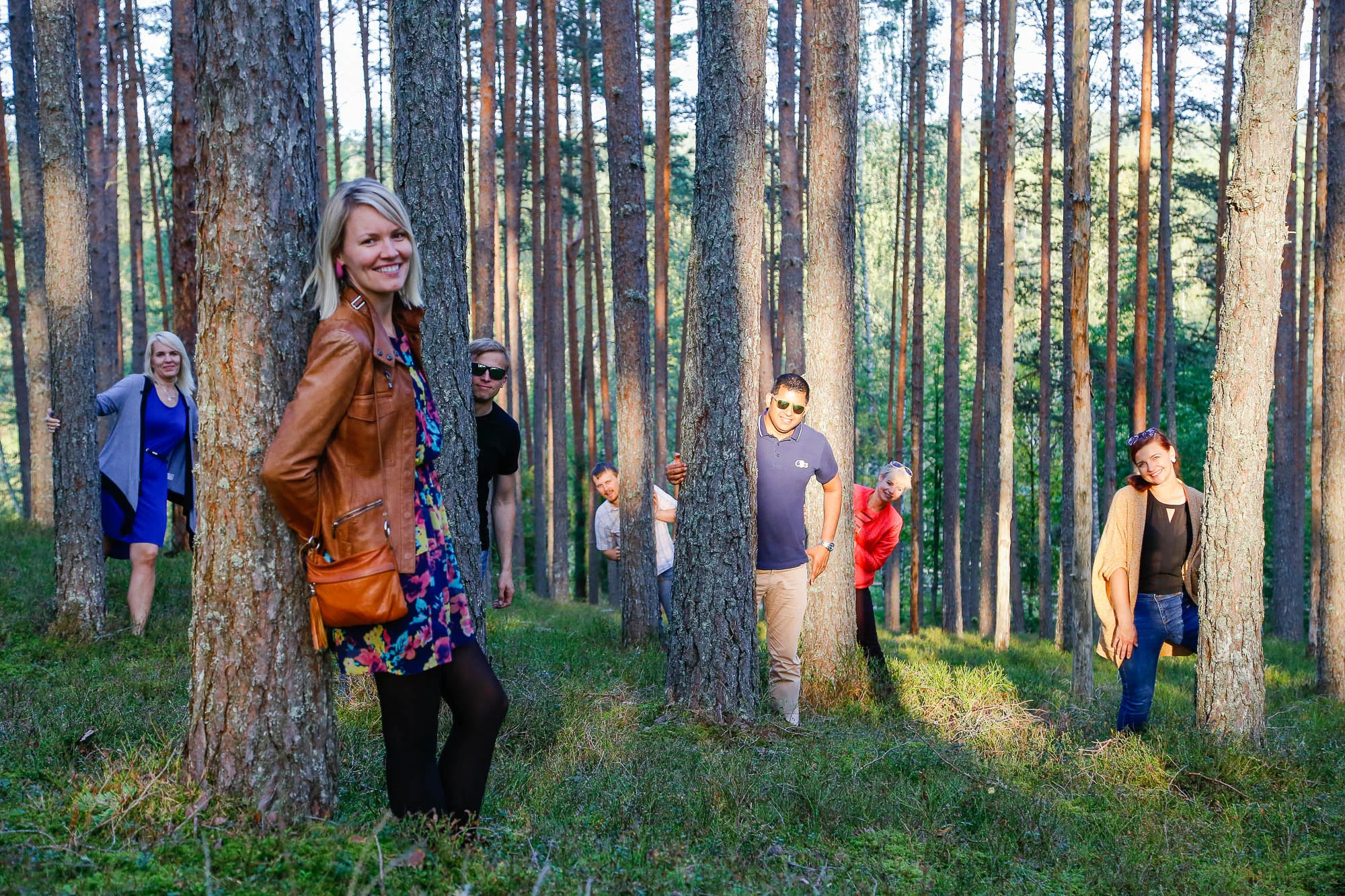 Pine tree forest at Sietiņiezis in the Gauja National Park Tour image