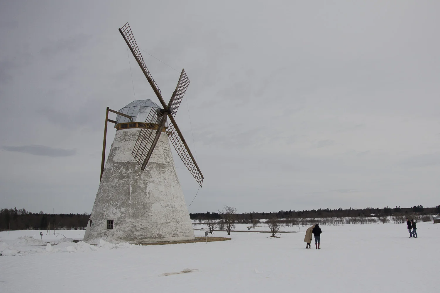 Vihula mõisa veski Tour image